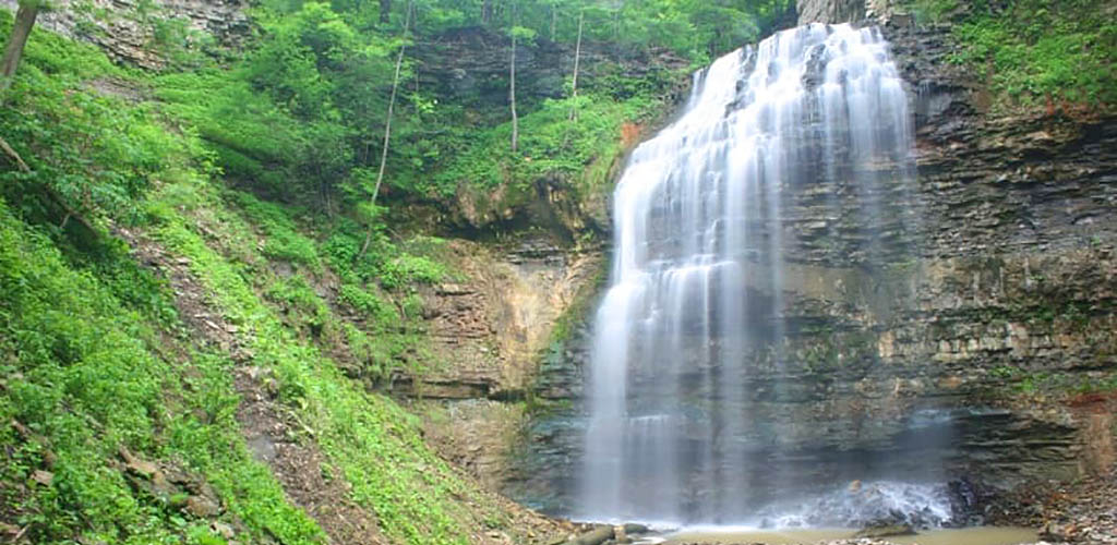 Tiffany Falls surrounded by greenery