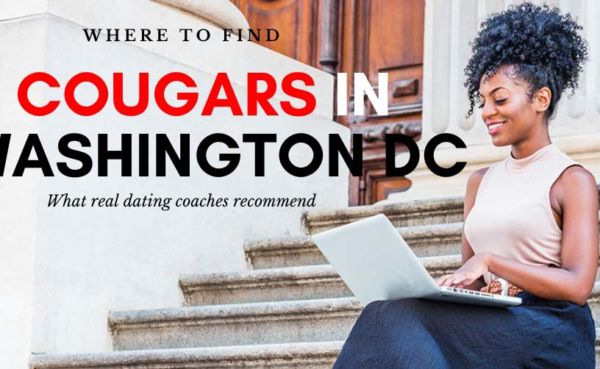 A sophisticated Washington DC cougar on her laptop