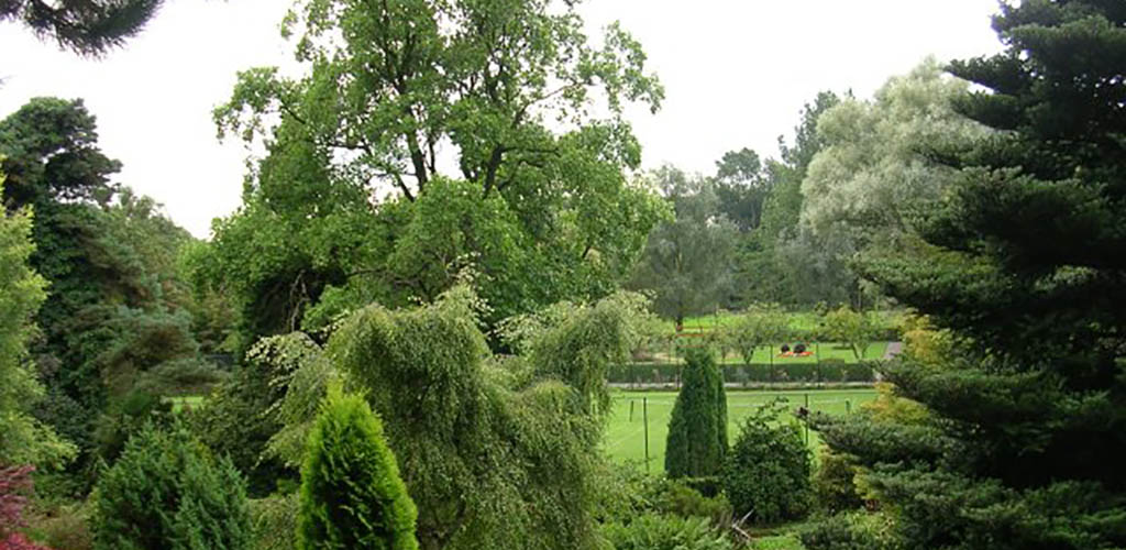 The beautiful greenery at the Fletcher Moss Botanical Garden