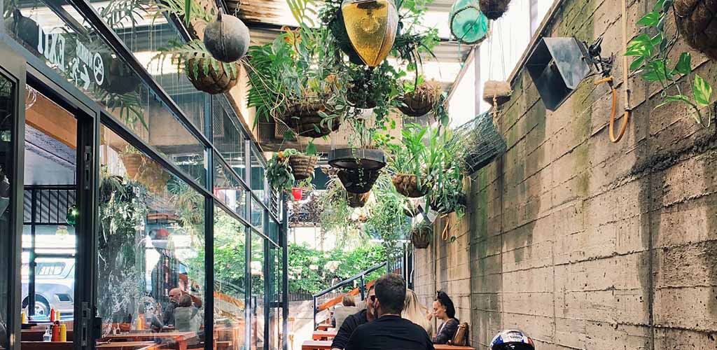 The plant-filled patio of The Lucky Rodrigo