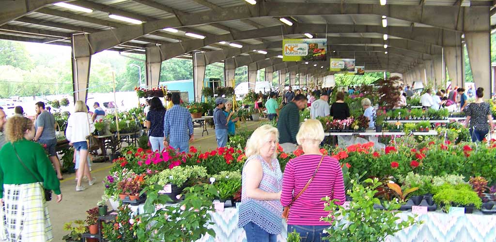 Women shopping for produce at the Charlotte Regional Farmers Market