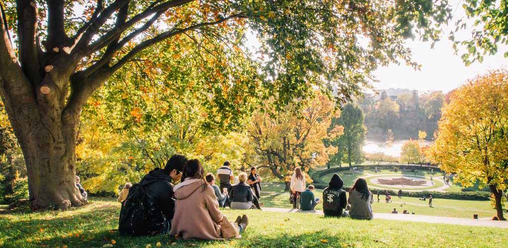 People enjoying the sunshine at High Park