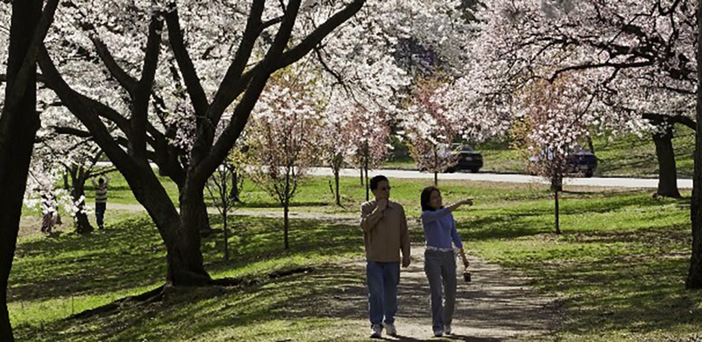 Branch Brook Park couples going on romantic strolls