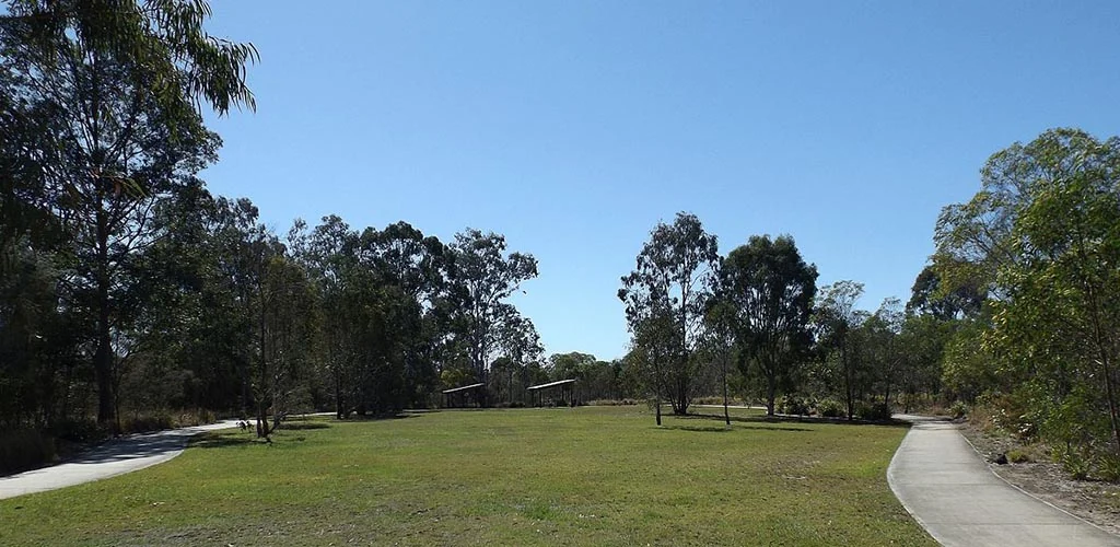 Berrinba Wetlands on a sunny day