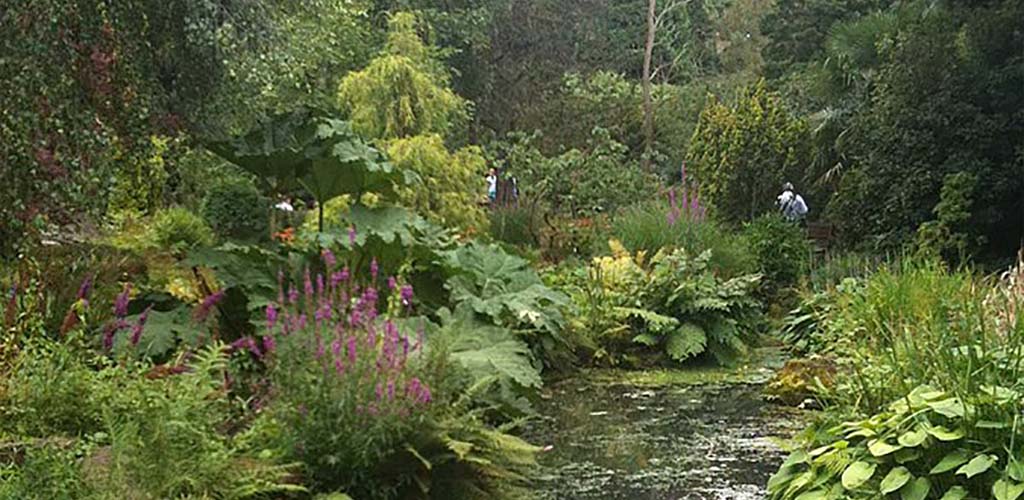 The pond at Fletcher Moss Park