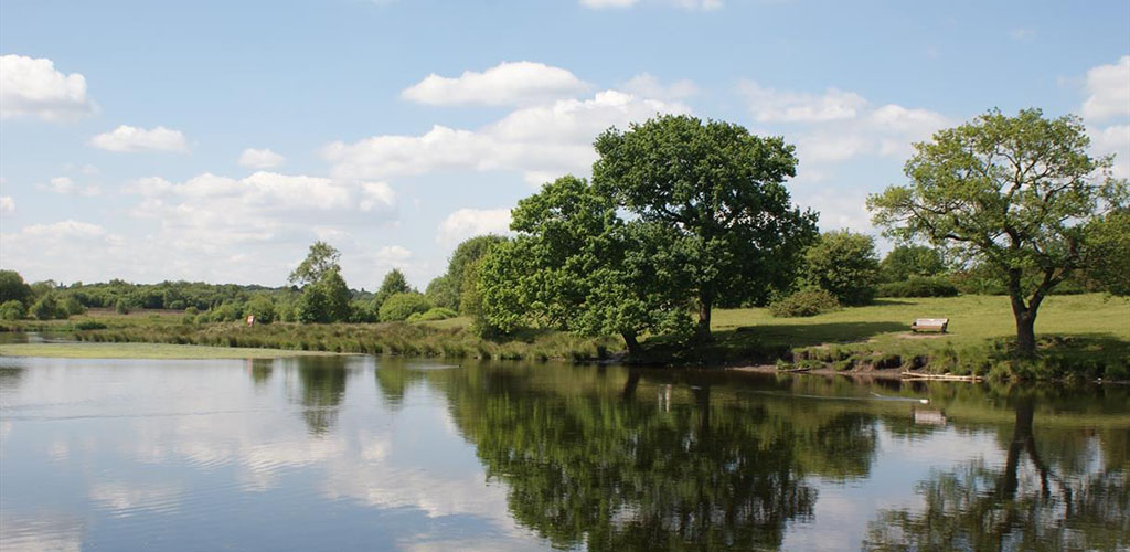 The beautiful view at Sutton Park