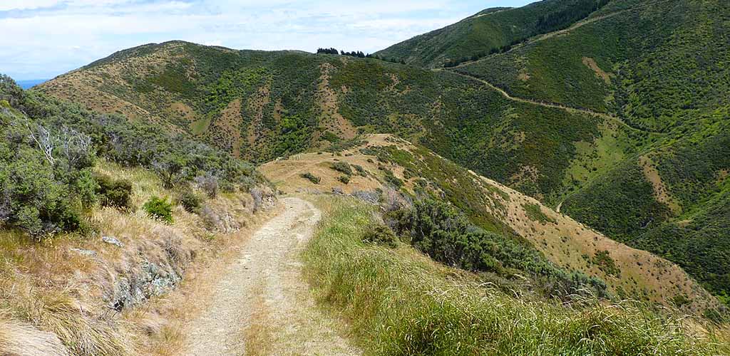 The trail at Te Kopahou Reserve