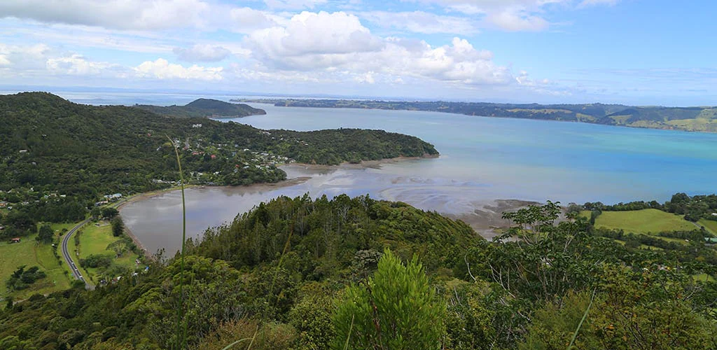 The gorgeous overhead view of Waitakere Regional Park