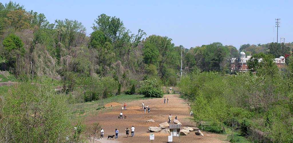 Folks walking their dogs at Piedmont Dog Park