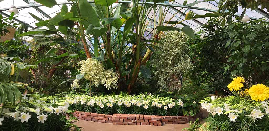 The indoor garden in Peoria Park