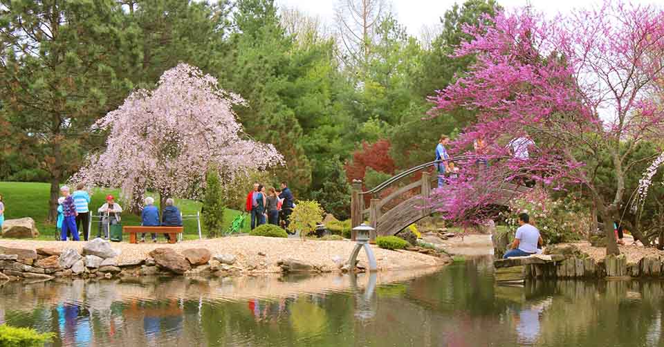 Mizumoto Japanese Stroll Garden Springfield Missouri