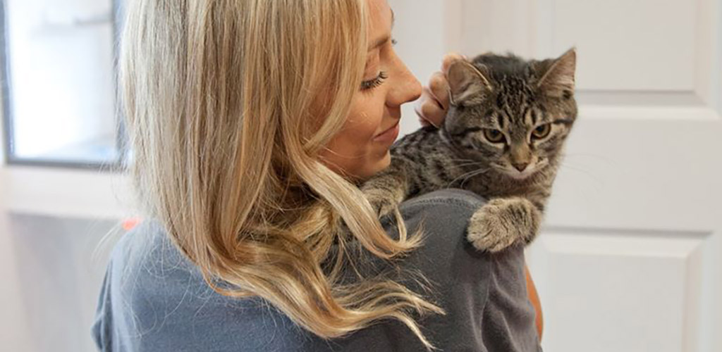 A woman with a cute kitten at Purrfect Day Cafe