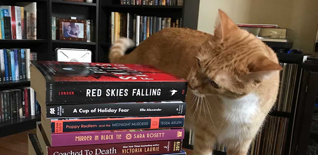 The resident cat checking out the new books at Murder by the Book