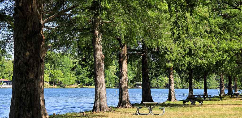 The gorgeous view at Emma Long Park