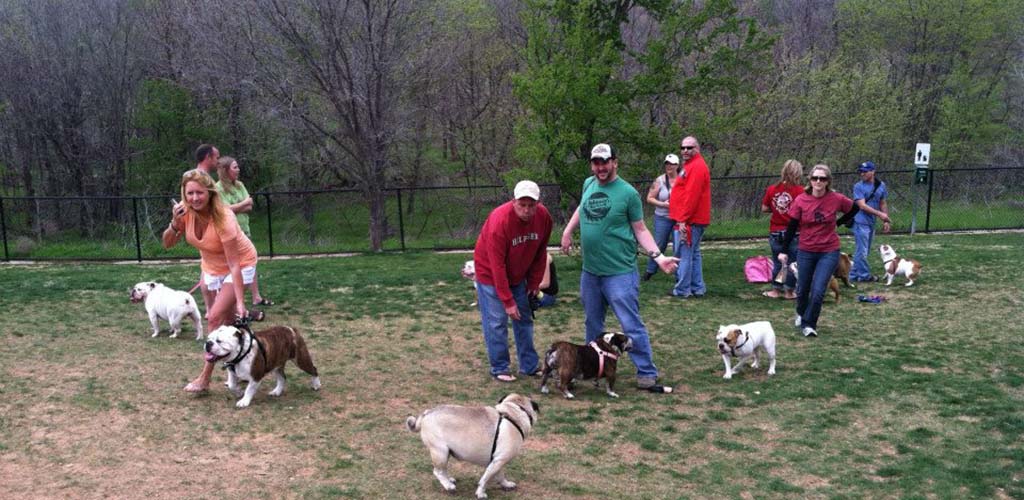 People having fun with their pets at the Frisco Dog Park