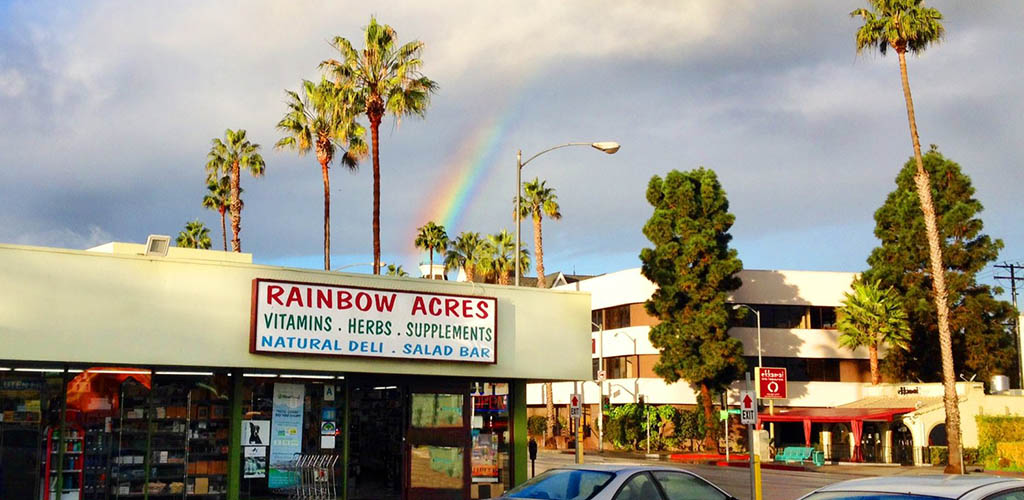 Rainbow Acres on a rainy day