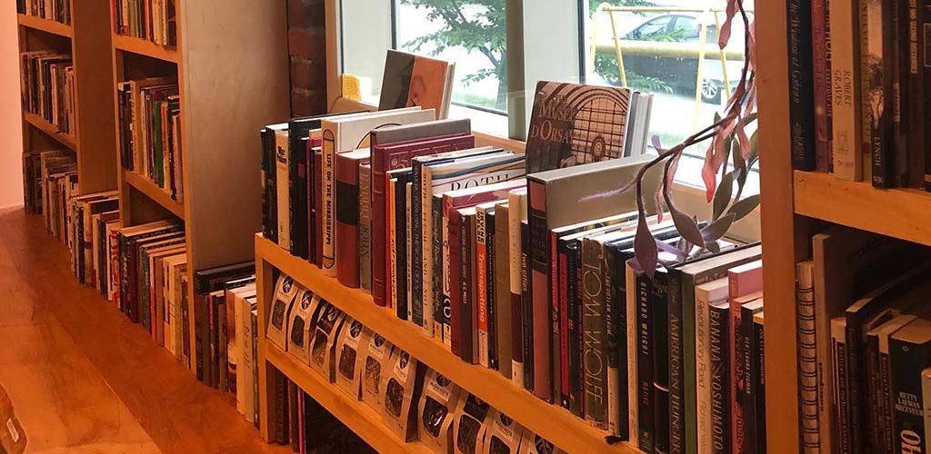 Books lining the windows at McQuixote Books