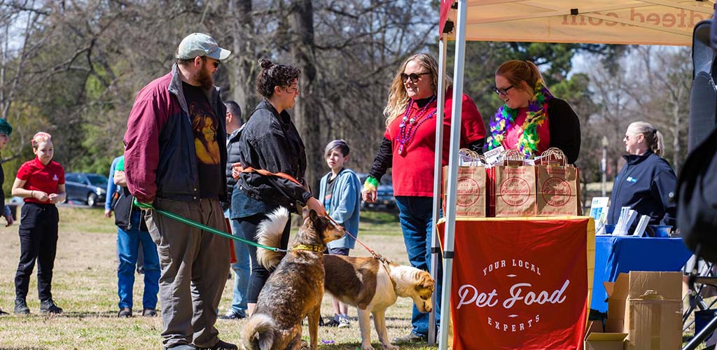 People bringing their dogs to Overton Park