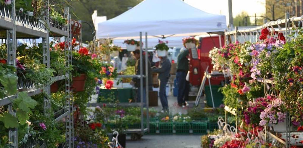 Fresh flowers at the North Union Farmers Market