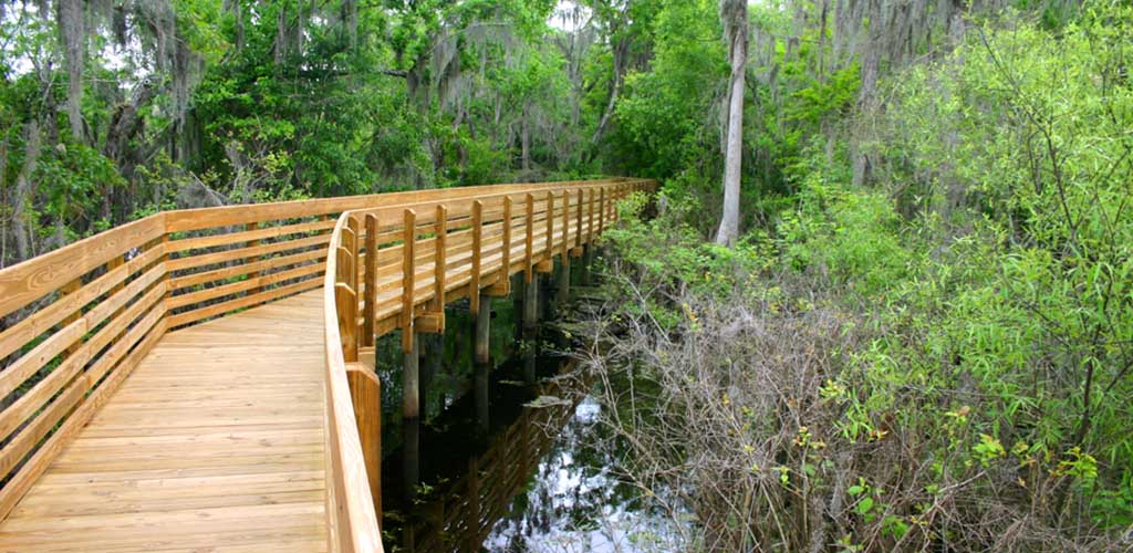 The bridge at Lettuce Lake Conservation Park