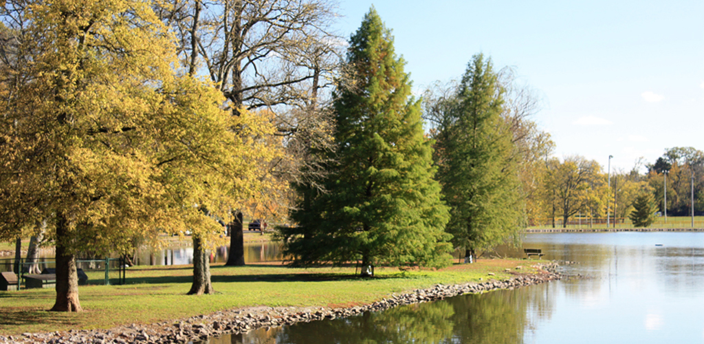 The serene view of Shelby Bottoms