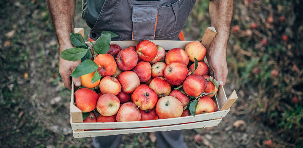 Organic apples from Supervalue