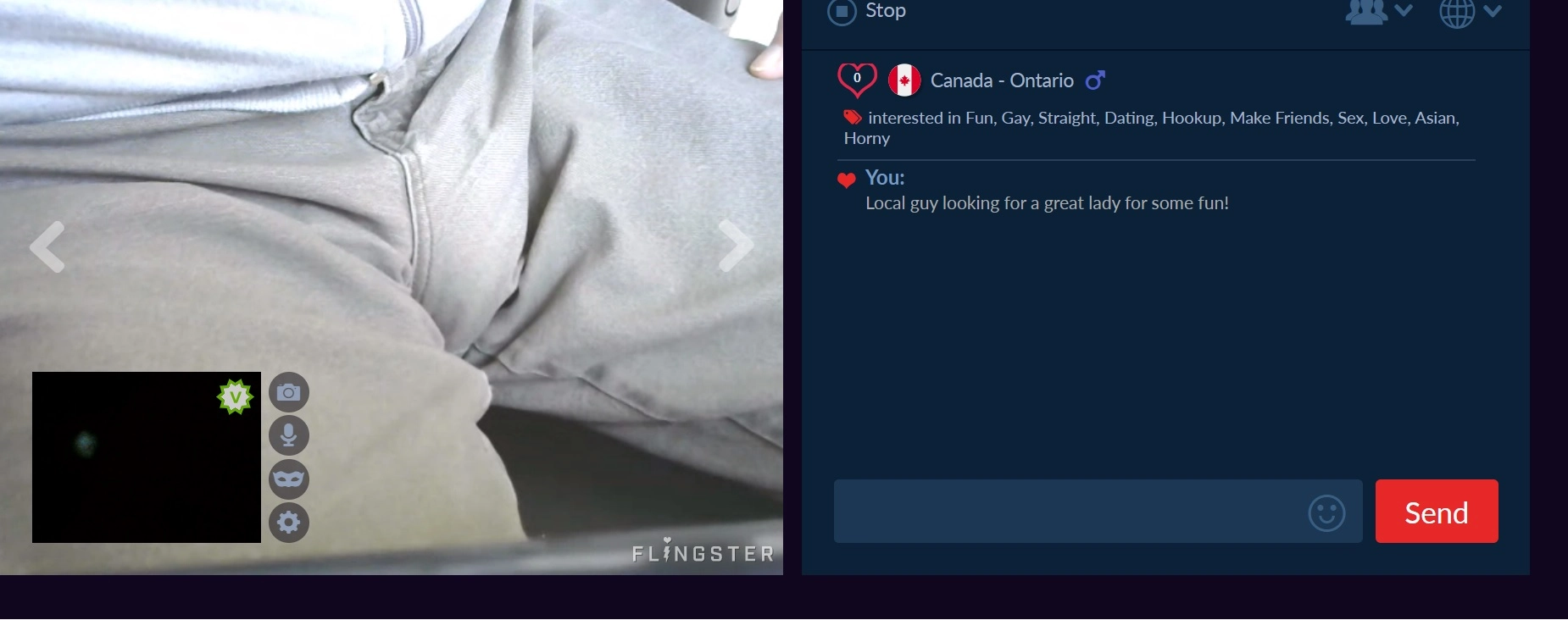 Flingster Video Chat Screenshot