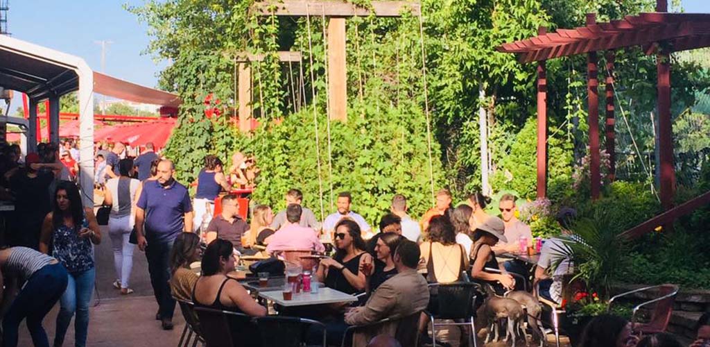 The plant-filled patio of Terrasse St-Ambroise