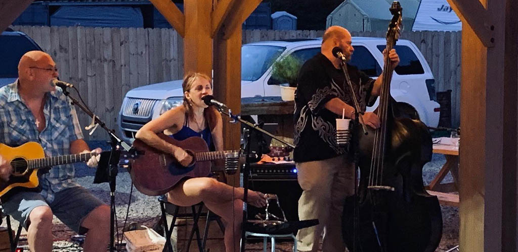 A live performance in the outdoor area of Strange Roots Experimental Ales