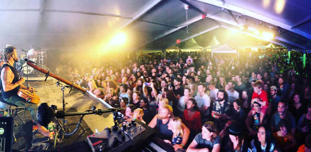 The audience at a live performance at the Townsville Cultural Fest