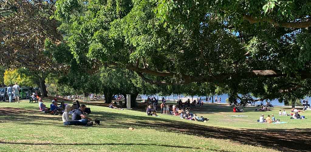 A sunny day at New Farm Park