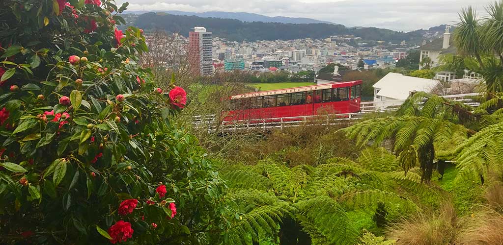 The Wellington Cable Car