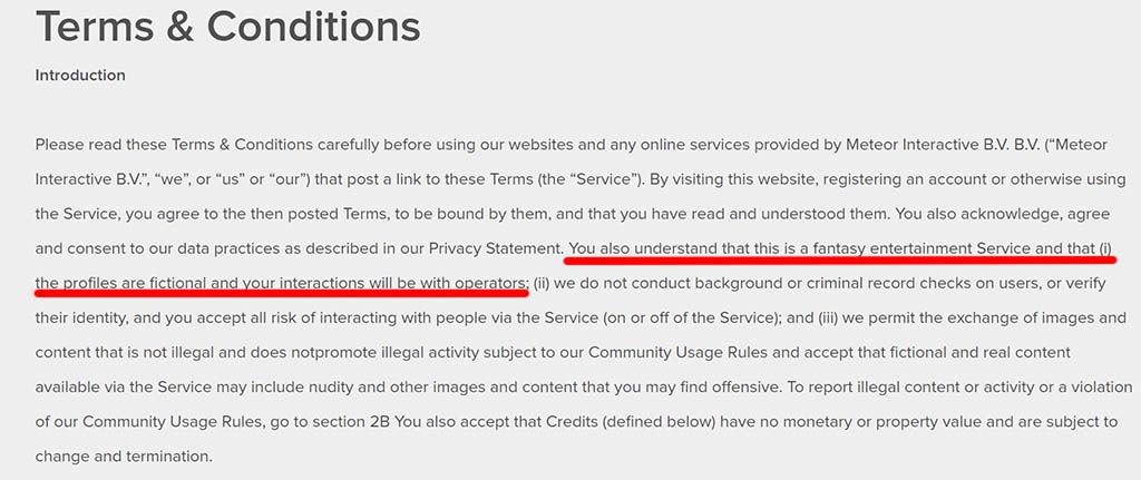 Terms and conditions admitting to creating fake profiles