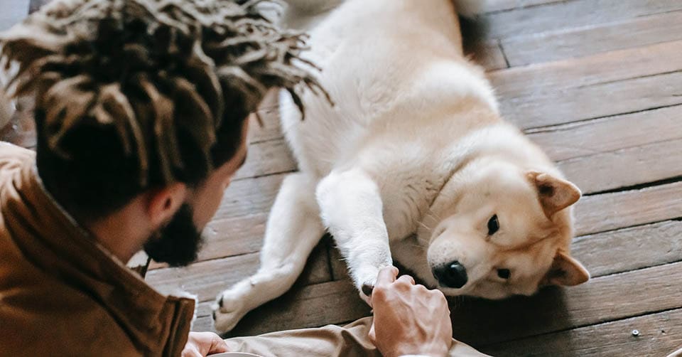 Man with his pet dog