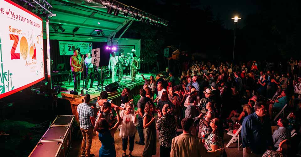 A concert at Detroit Zoo 