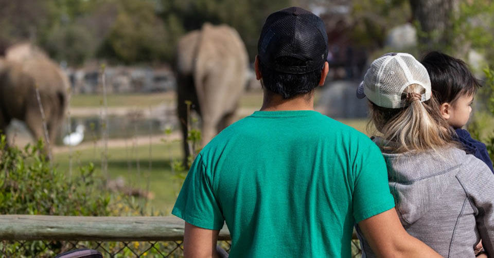 A date at Fresno Chaffee Zoo Fresno