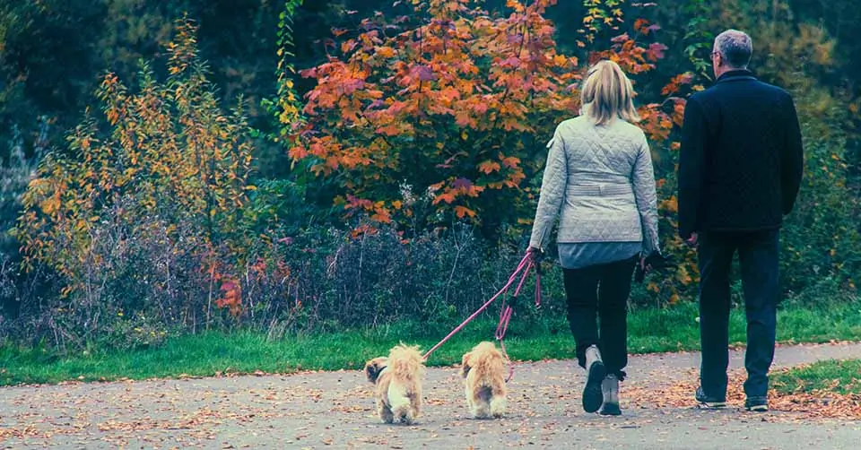 A couple at South Side Dog Park Pittsburgh