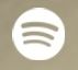 Spotify Icon